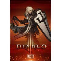 Плакат фірмовий Blizzard Diablo Crusader Poster